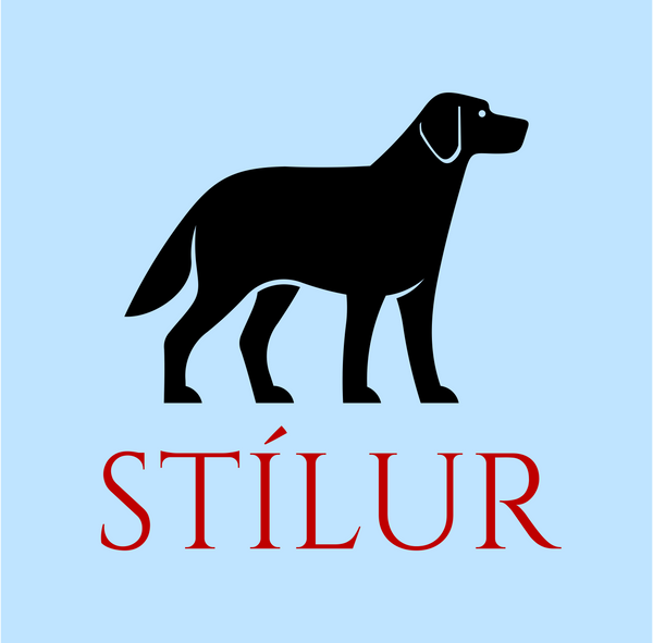 Stílur